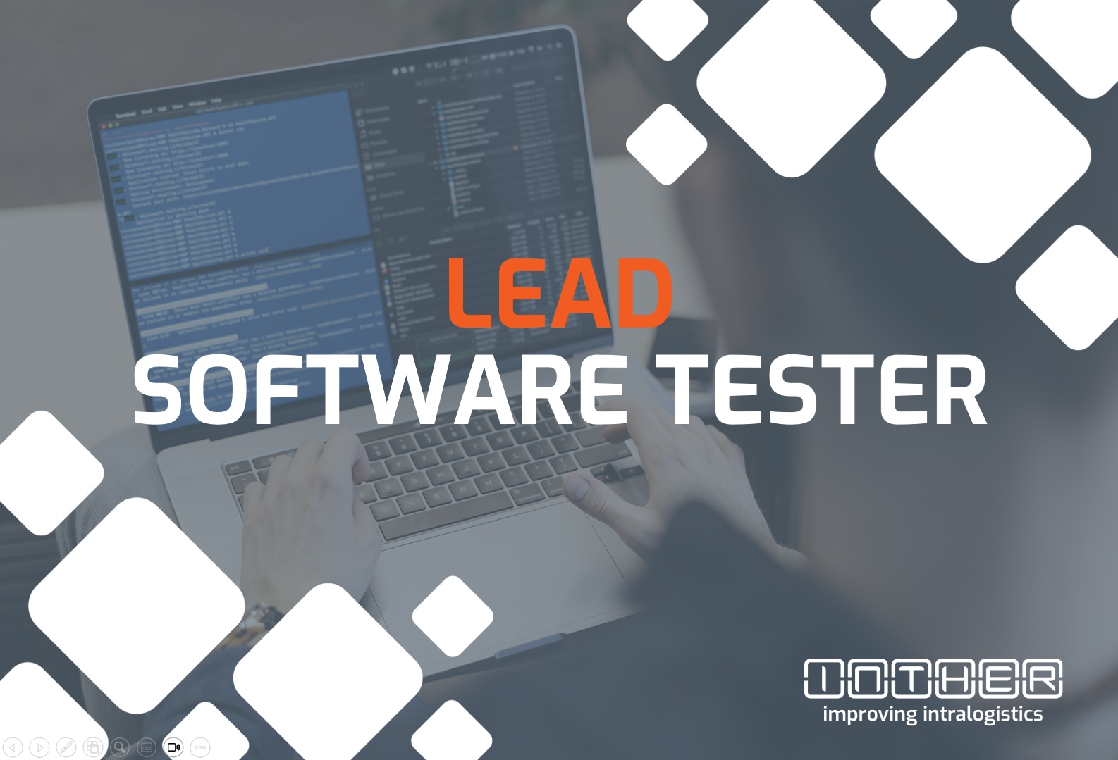 Lead Software Tester